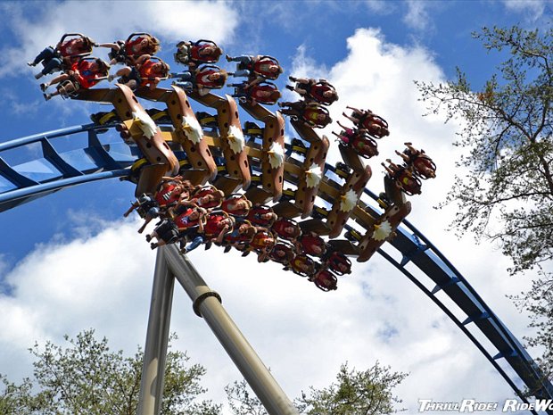 Dollywood 2008