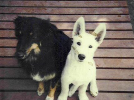 Frith & Thlali