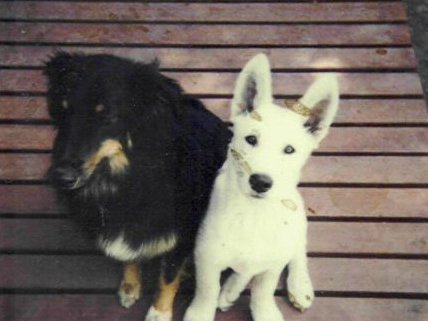 Frith & Thlali