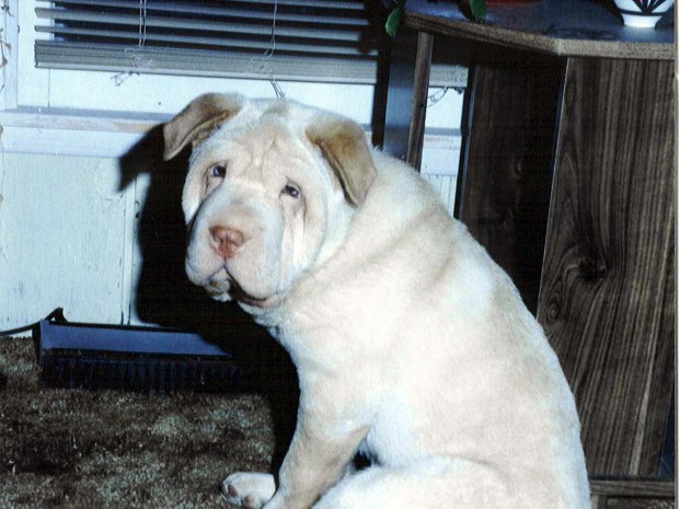 Sherman & Shawna