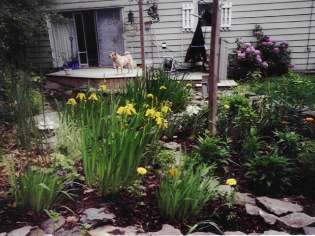 Gardens
