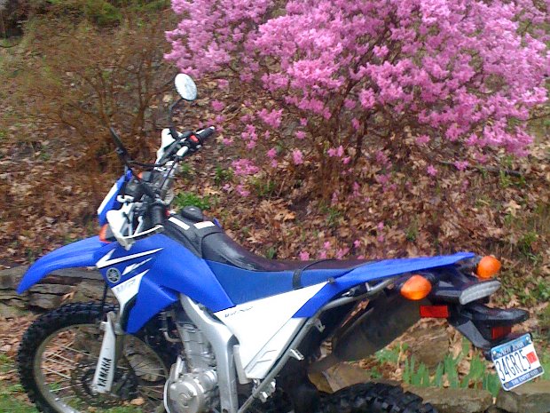 WR250R