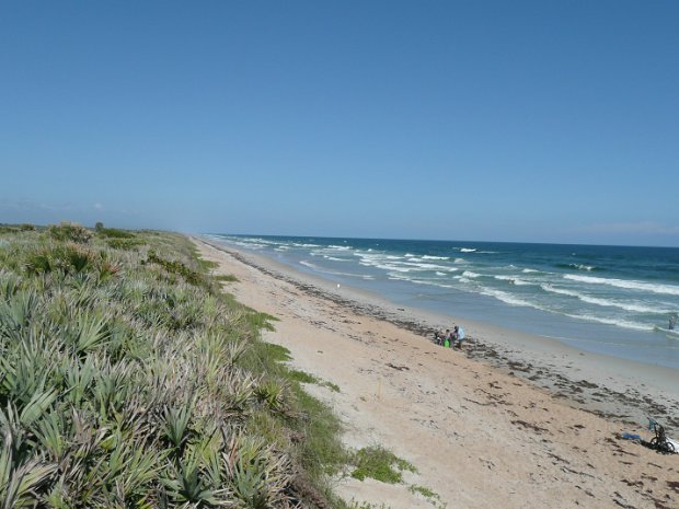 Canaveral_Seashore
