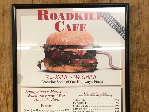 MTF Roadkill2023