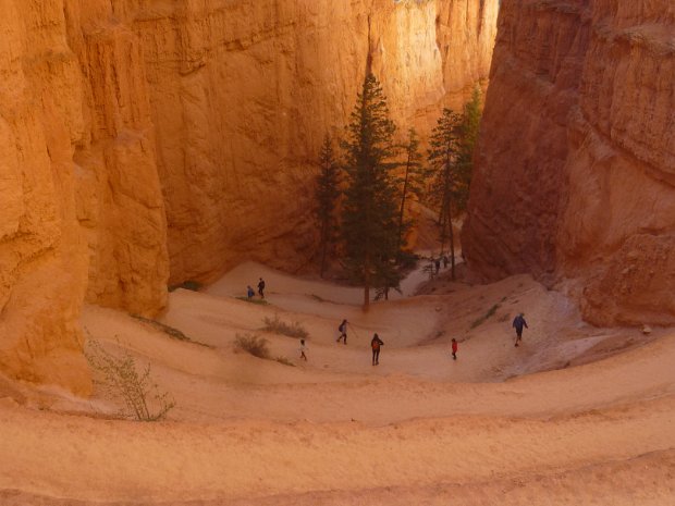 Moab / Bryce