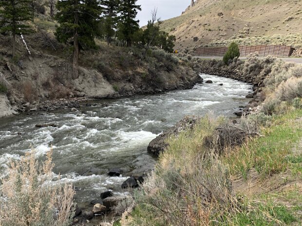 Yellowstone