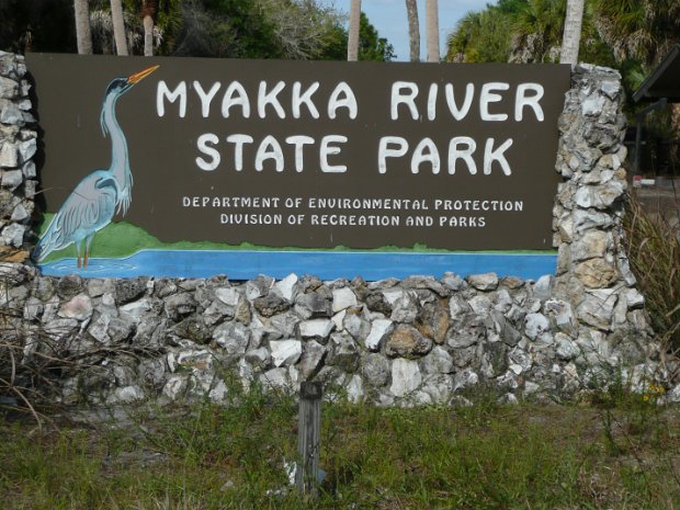 Myakka_River