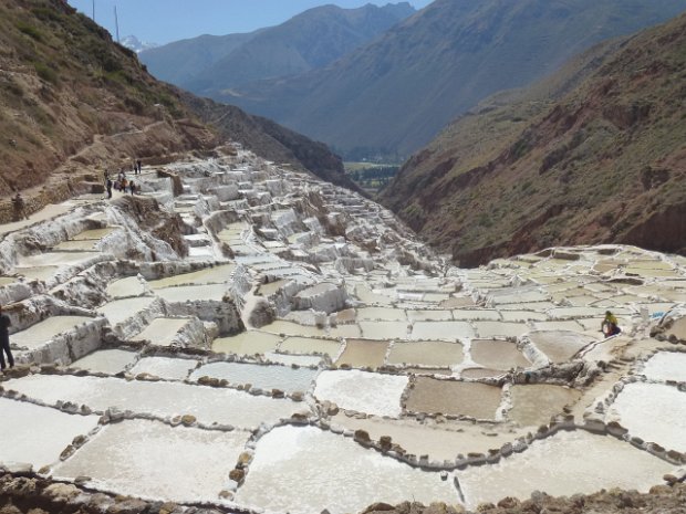 Maras