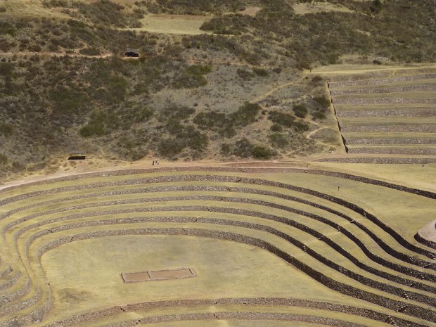 Moray